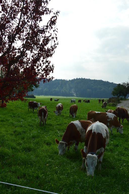 Pimperlhof Villa Franking Bagian luar foto